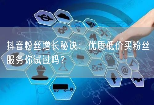 抖音粉丝增长秘诀：优质低价买粉丝服务你试过吗？