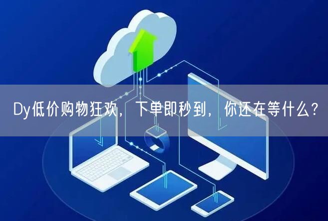 Dy低价购物狂欢，下单即秒到，你还在等什么？