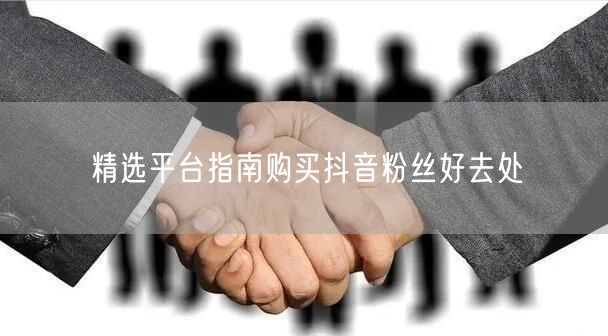 精选平台指南购买抖音粉丝好去处