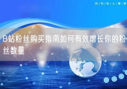 B站粉丝购买指南如何有效增长你的粉丝数量