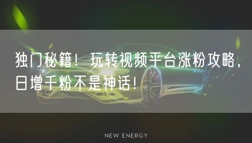 独门秘籍！玩转视频平台涨粉攻略，日增千粉不是神话！