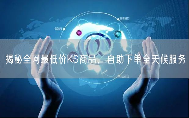 揭秘全网最低价KS商品，自助下单全天候服务