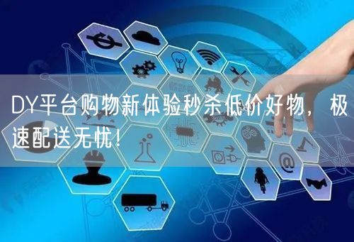 DY平台购物新体验秒杀低价好物，极速配送无忧！