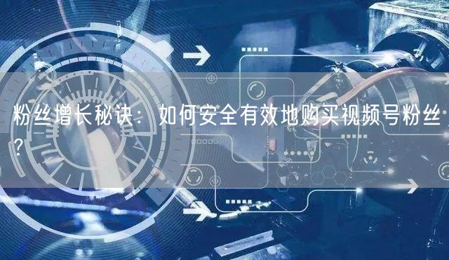 粉丝增长秘诀：如何安全有效地购买视频号粉丝？