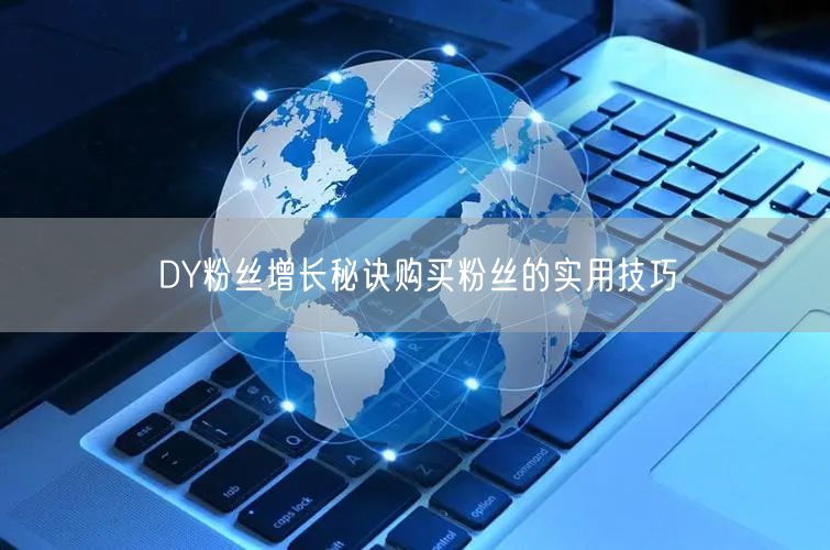 DY粉丝增长秘诀购买粉丝的实用技巧