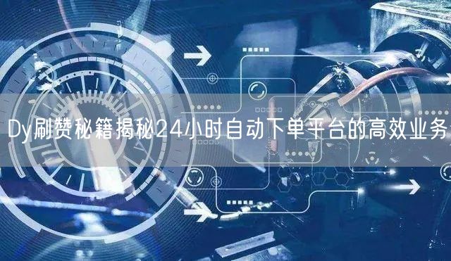 Dy刷赞秘籍揭秘24小时自动下单平台的高效业务