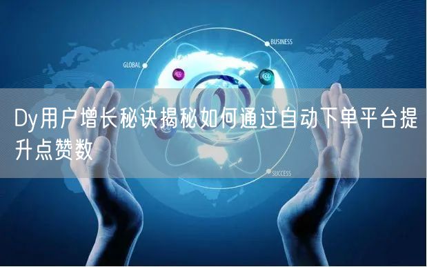 Dy用户增长秘诀揭秘如何通过自动下单平台提升点赞数