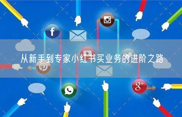 从新手到专家小红书买业务的进阶之路