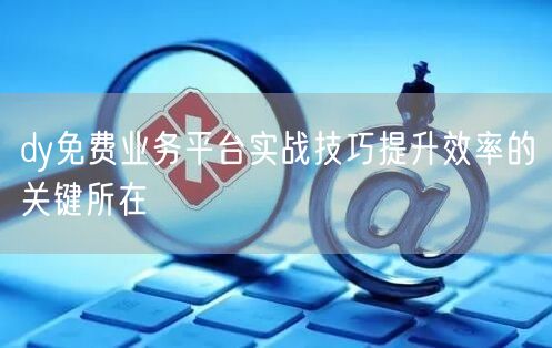 dy免费业务平台实战技巧提升效率的关键所在