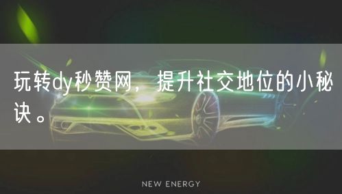 玩转dy秒赞网，提升社交地位的小秘诀。