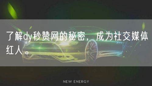 了解dy秒赞网的秘密，成为社交媒体红人。