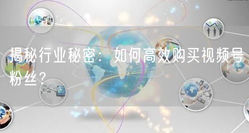 揭秘行业秘密：如何高效购买视频号粉丝？