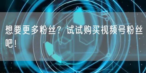 想要更多粉丝？试试购买视频号粉丝吧！