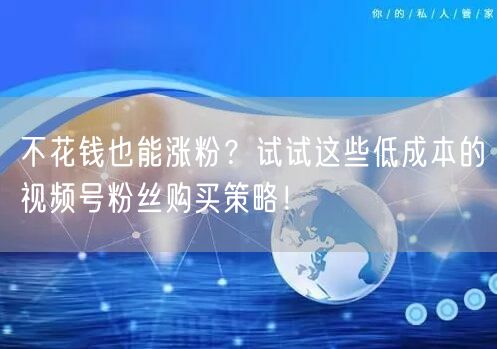 不花钱也能涨粉？试试这些低成本的视频号粉丝购买策略！