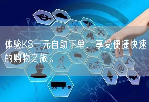 体验KS一元自助下单，享受便捷快速的购物之旅。