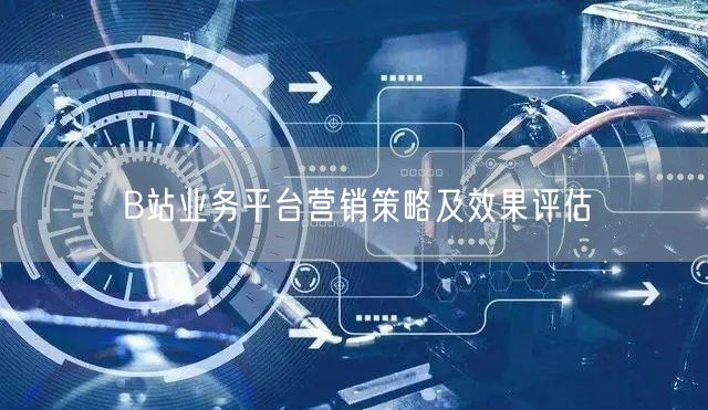 B站业务平台营销策略及效果评估