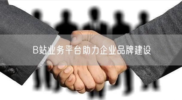 B站业务平台助力企业品牌建设