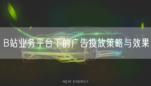 B站业务平台下的广告投放策略与效果