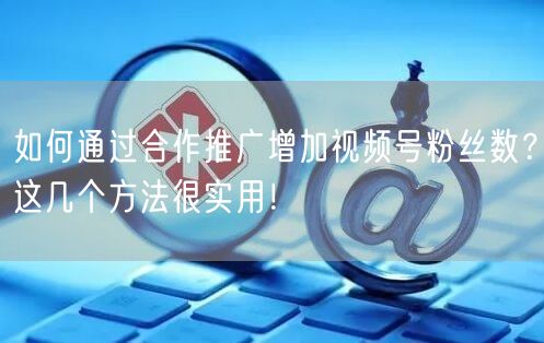 如何通过合作推广增加视频号粉丝数？这几个方法很实用！