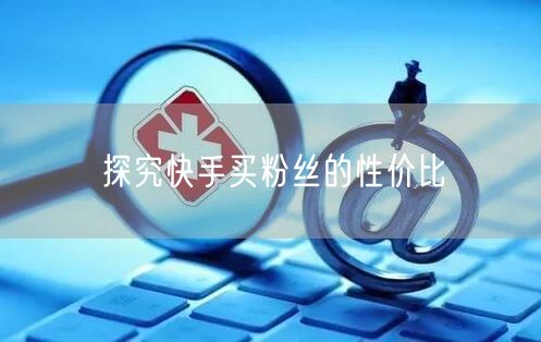 探究快手买粉丝的性价比