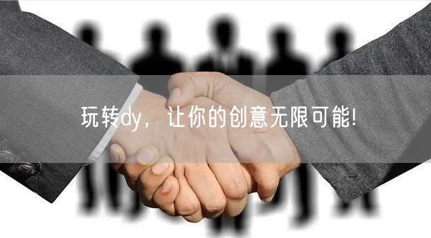 玩转dy，让你的创意无限可能!