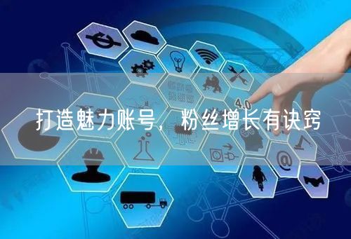 打造魅力账号，粉丝增长有诀窍