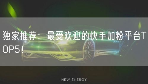 独家推荐：最受欢迎的快手加粉平台TOP5！