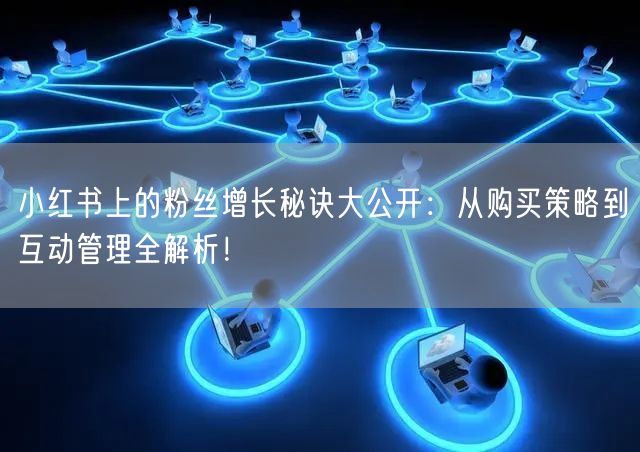 小红书上的粉丝增长秘诀大公开：从购买策略到互动管理全解析！