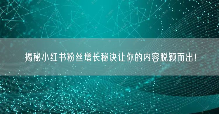揭秘小红书粉丝增长秘诀让你的内容脱颖而出！