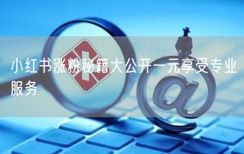 小红书涨粉秘籍大公开一元享受专业服务