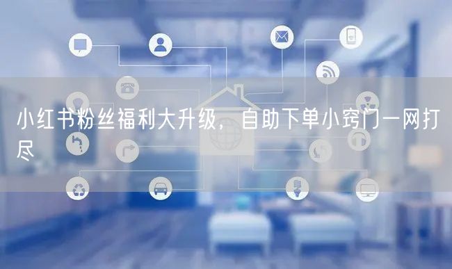小红书粉丝福利大升级，自助下单小窍门一网打尽