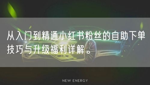 从入门到精通小红书粉丝的自助下单技巧与升级福利详解。