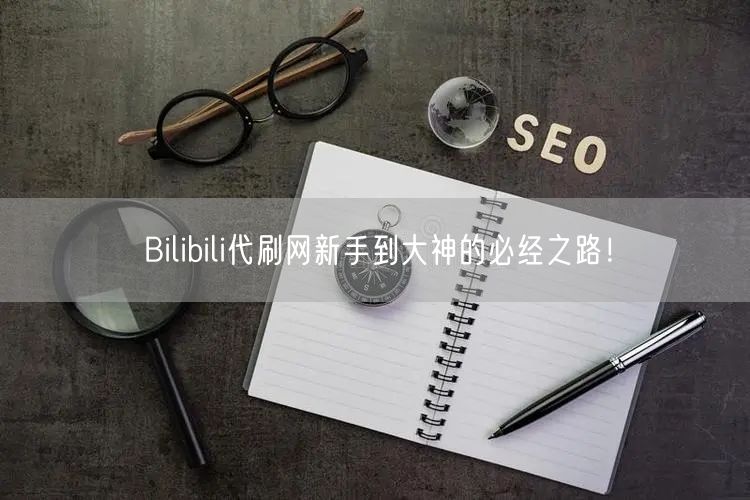 Bilibili代刷网新手到大神的必经之路！