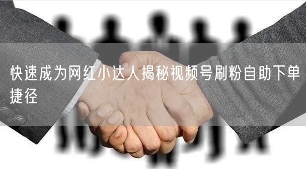 快速成为网红小达人揭秘视频号刷粉自助下单捷径