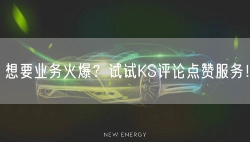 想要业务火爆？试试KS评论点赞服务！