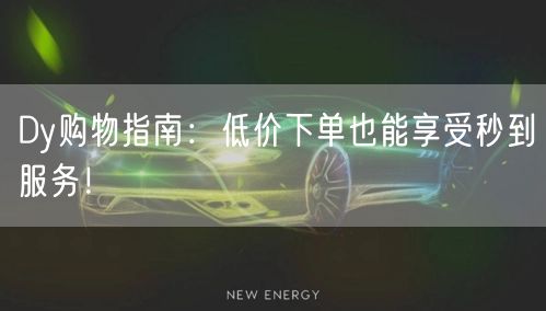 Dy购物指南：低价下单也能享受秒到服务！
