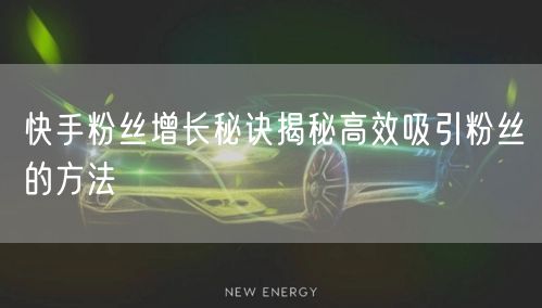 快手粉丝增长秘诀揭秘高效吸引粉丝的方法