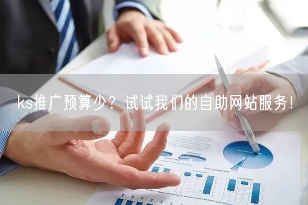ks推广预算少？试试我们的自助网站服务！