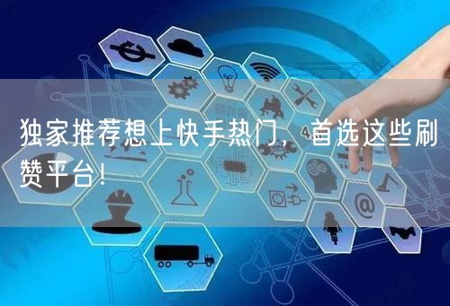 独家推荐想上快手热门，首选这些刷赞平台！