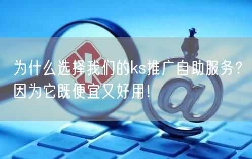 为什么选择我们的ks推广自助服务？因为它既便宜又好用！