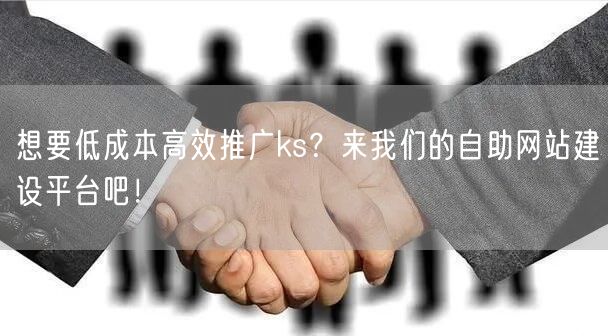 想要低成本高效推广ks？来我们的自助网站建设平台吧！