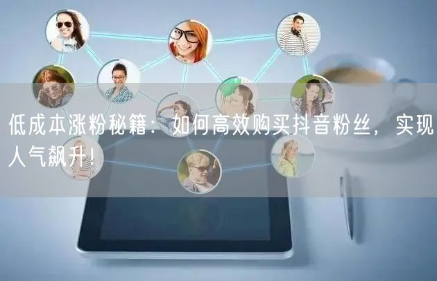 低成本涨粉秘籍：如何高效购买抖音粉丝，实现人气飙升！