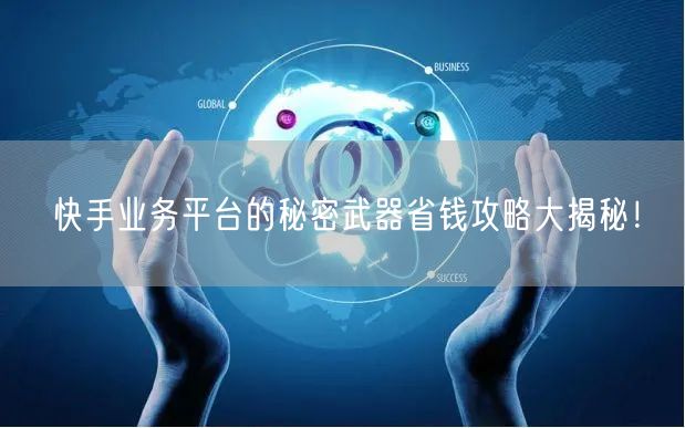 快手业务平台的秘密武器省钱攻略大揭秘！