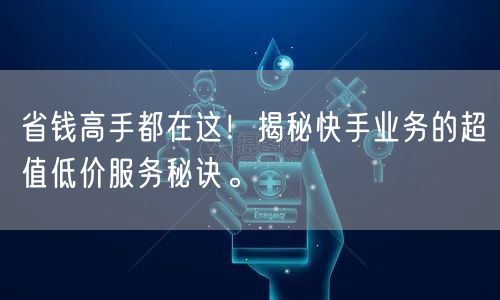 省钱高手都在这！揭秘快手业务的超值低价服务秘诀。
