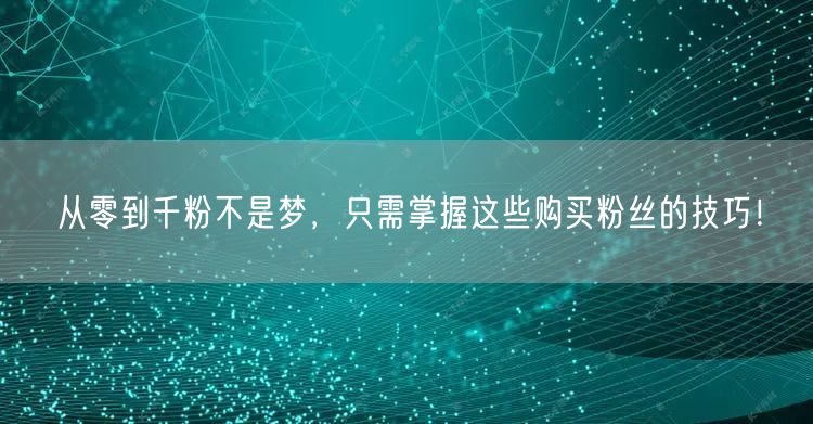 从零到千粉不是梦，只需掌握这些购买粉丝的技巧！