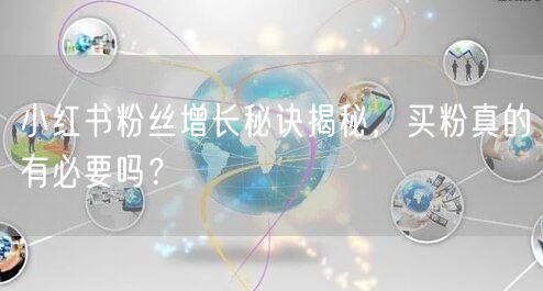 小红书粉丝增长秘诀揭秘，买粉真的有必要吗？