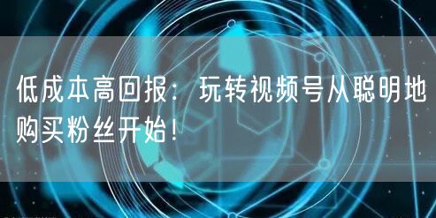 低成本高回报：玩转视频号从聪明地购买粉丝开始！