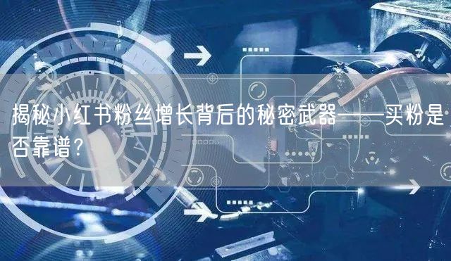 揭秘小红书粉丝增长背后的秘密武器——买粉是否靠谱？