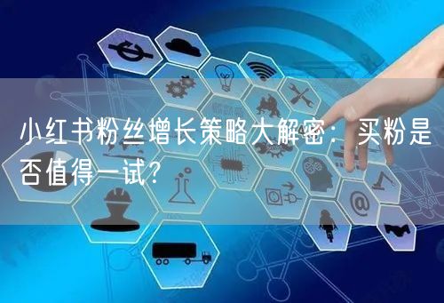 小红书粉丝增长策略大解密：买粉是否值得一试？