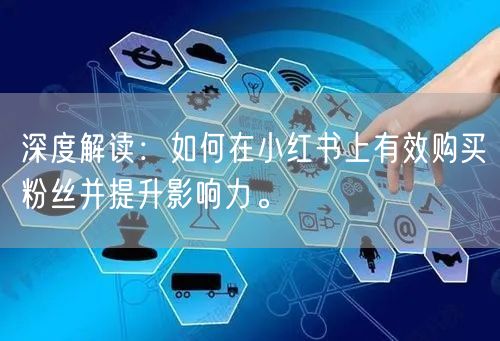 深度解读：如何在小红书上有效购买粉丝并提升影响力。